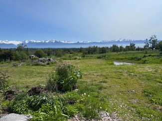 L2 Sibson Dr, Fritz Creek, AK 99603