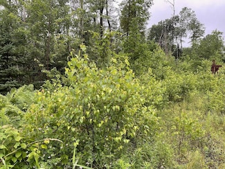 M 17, L 79 Canaan Rd, Pittsfield, ME 04967