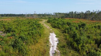 0 First Bend Rd Unit 24021839, Harleyville, SC 29448