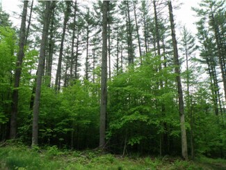 0 Hall Rd, Chelsea, VT 05038
