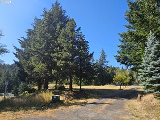 212 Cottonwood St, Stevenson, WA 98648