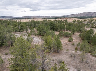 TBD Timber Trail, Custer, SD 57730