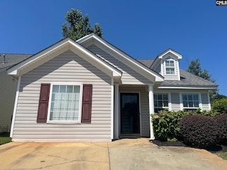 100 Recluse St, Chapin, SC 29036