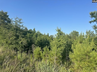 00 Little North Carolina Rd, Whitmire, SC 29178