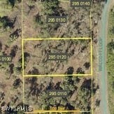 1957 Walcott Loop, Lehigh Acres, FL 33972