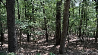 0 Laurel Mill Trail Unit 7613544, Jasper, GA 30143