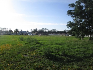 TBD SE 68th Ct, Belleview, FL 34420