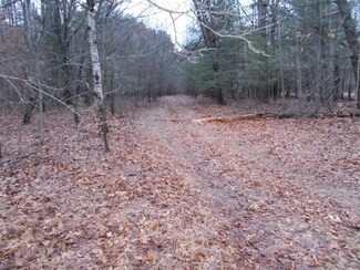 7828 N 72nd Ave, Pentwater, MI 49449