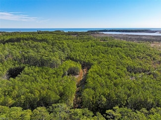 200+AC Buzzard Point Rd, Diggs, VA 23045