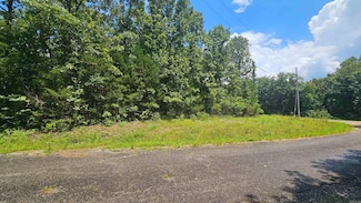 TBD Mineola Cir, Cherokee Village, AR 72529