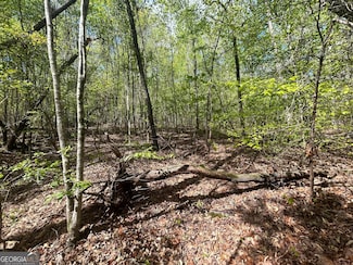 0 Shore Crest Dr Unit LOT 15 10499848, Martin, GA 30557