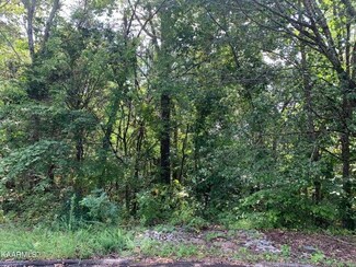 000 Sandra Way, Kodak, TN 37764