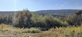 329 Summit Woods Rd, Roaring Brook Township, PA 18444