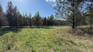 TBD Parcel 14 Bandmill Heights, Orofino, ID 83554