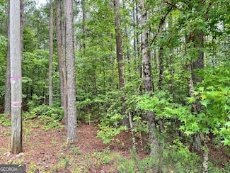 131 Johnson Rd, Locust Grove, GA 30248