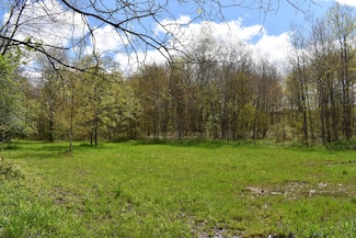0 Earl Seaton Rd Unit 11440896, Napoli, NY 14772