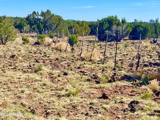 0 Unit 256206, Show Low, AZ 85901