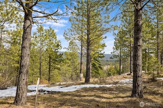 541 Gold Leaf Ln, Cle Elum, WA 98922