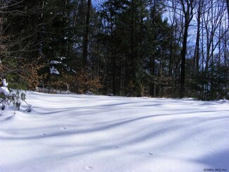 0 Autumn Ln Unit 201702715, Providence, NY 12074