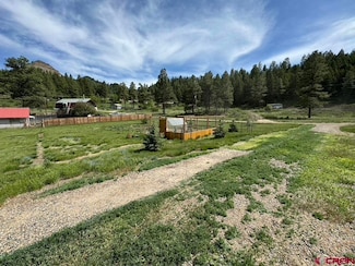 828 Beucler Ln, Pagosa Springs, CO 81147