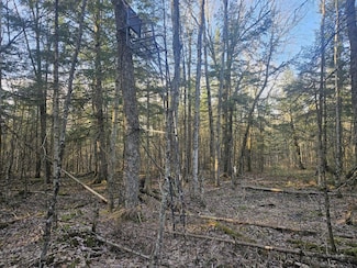 N1343 10 Crossing Rd, Ogema, WI 54459