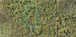 6128-01-13-0030 Inaccessible Trace, de Land, FL 32724