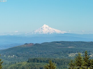 0 Carl Rd Unit 1 17159812, Deer Island, OR 97054