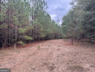 60.06 AC. Daisy Walker Rd, Tennille, GA 31089