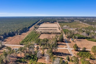 1745 Williams Hill Rd, Hemingway, SC 29554