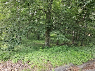 Lot 88R Old Farm Rd, Roanoke Rapids, NC 27870