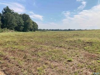 Tract 16 Hays Mill Rd, Elkmont, AL 35620