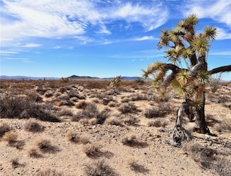 Lot 166 Lake Havasu Acres, Yucca, AZ 86438