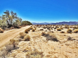 34348 Lakeview Ave, Newberry Springs, CA 92365