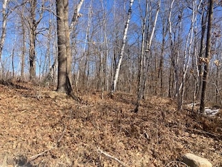 TBD Sherwood Dr SW, Motley, MN 56466