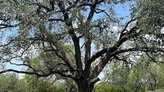 946 County Road 2863, Bigfoot, TX 78005