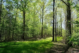 56 Highway Rd, Buena Vista, AL 36425
