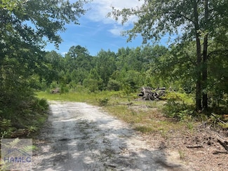 6.2 acre Tibet Hwy SE, Ludowici, GA 31319