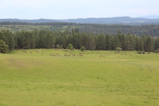 84658 Troy Rd, Wallowa, OR 97885