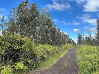 0 Road 2 (Ao) Unit 725068, Mountain View, HI 96771