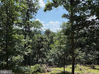 243 Bluffs On the Potomac, Romney, WV 26757