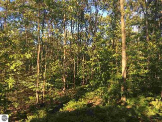 00 28 Rd, Mesick, MI 49668