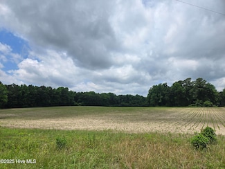 0 Ballard Rd, Bear Grass, NC 27892