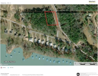 0 Doctors Point Rd Unit 198024, Abbeville, AL 36312
