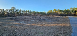 0 SW 136th St, Ocala, FL 34473