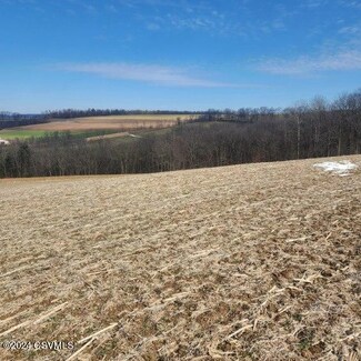 0 Logan Run Rd, Danville, PA 17821