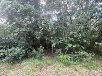 6503 Baylor Ave, Keystone Heights, FL 32656