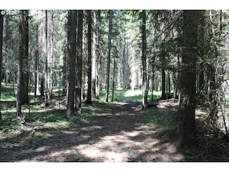 0 Basket Mountain Rd Unit 648636278, Weston, OR 97886