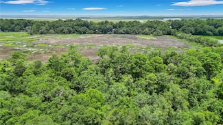 Lot 59 St Joseph's Point, Darien, GA 31305