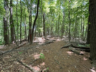 00 Mount Chestnut Rd, Roanoke, VA 24018