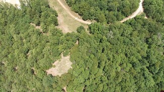 356-00041-000 Lakeshore Dr, Protem, MO 65733